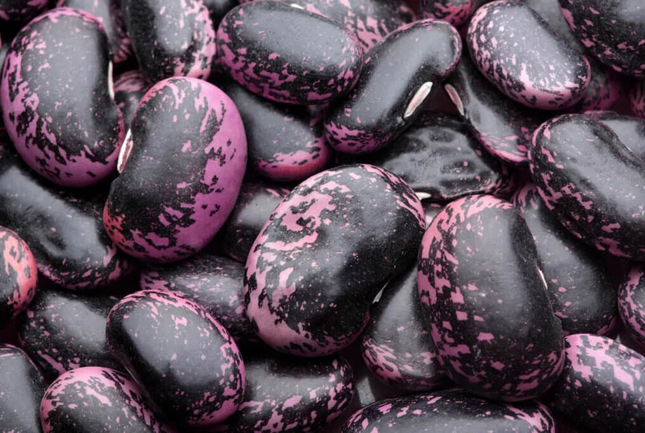 Scarlet Emperor Runner Bean Seeds online shopping