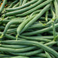 Seychelles Pole Bean Seeds online shopping