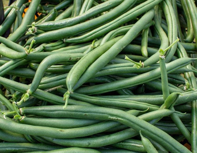 Seychelles Pole Bean Seeds online shopping