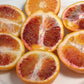 Shahani Red Pigmented Navel Orange Budwood citrus plant material online shopping