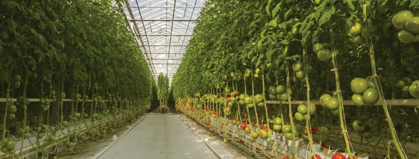 Toro White Blue Stripe® Hose 57 mil, 59 psi