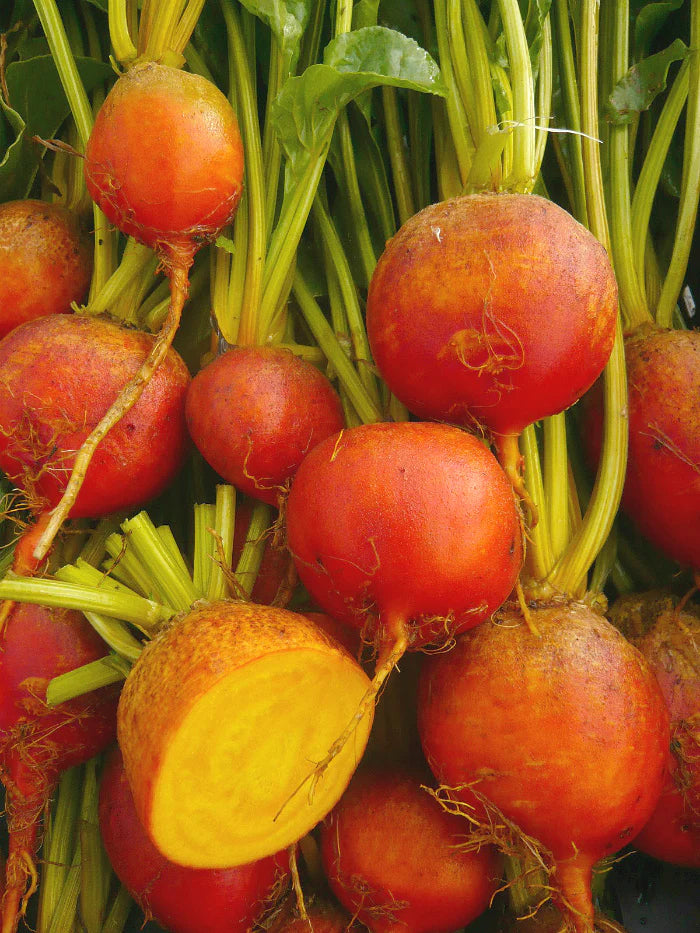Touchstone Gold Beet Seeds online shopping