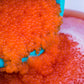 Brown Trout Eggs ZA\ aquaculture online shopping