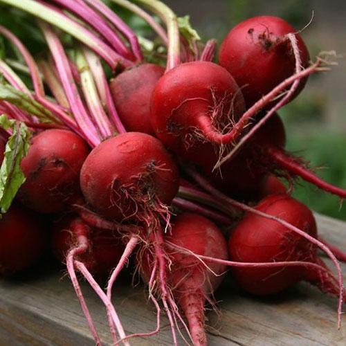 Early Wonder Tall Top Beet Seeds online shopping