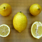 Allen Eureka Lemon Budwood citrus plant material online shopping