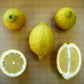 Dr. Strong Nucellar Lisbon Lemon Budwood citrus plant material online shopping