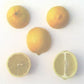 Bearss Lime Budwood citrus plant material online shopping
