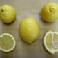 Villafranca Lemon Budwood citrus plant material online shopping