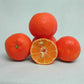 Fina Sodea Clementine Budwood citrus plant material online shopping