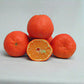 Oroval Clementine Budwood citrus plant material online shopping
