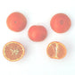 Clementine x Pearl Mandarin Hybrid Budwood citrus plant material online shopping