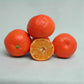 Corsica #1 Clementine Budwood citrus plant material online shopping