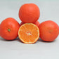 SRA 63 Clementine Budwood citrus plant material online shopping