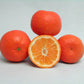 SRA 92 Clementine Budwood citrus plant material online shopping
