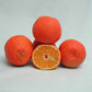 Marisol Clementine Budwood citrus plant material online shopping