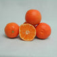 Nour Clementine Budwood citrus plant material online shopping