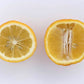 Volkamer Lemon Plant